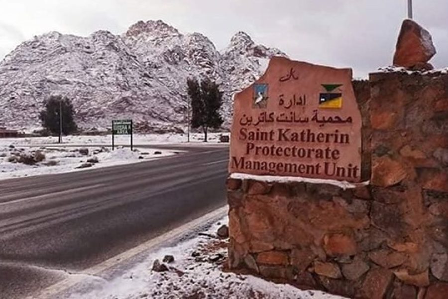 From Sharm El-Sheikh-Saint Catherine and Dahab Guided Trip